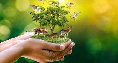 Ассоциация защиты животных и окружающей среды намерена создать зоопарк в Днепропетровске до 2014
