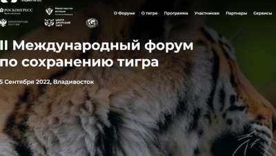 Интерпол запустил программу "Хищник" по сохранению популяции тигров