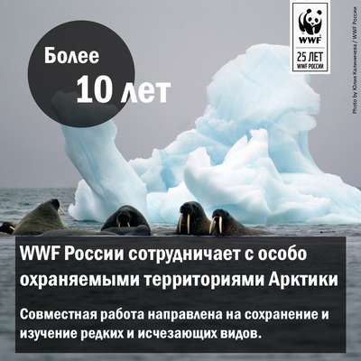 WWF России разработает 13 проектов новых заповедников в Арктике