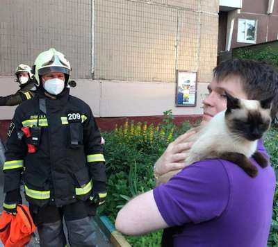 Английские спасатели 12 часов освобождали игрушечную кошку