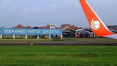 Крупнейший аэропорт Индонезии стал центром контpaбанды редких рептилий