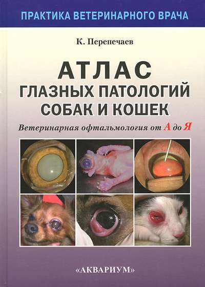 Ветеринарная офтальмология: глаукома у собак и кошек
