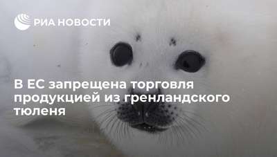 Таможенный союз вводит запрет на торговлю шкурами гренландского тюленя