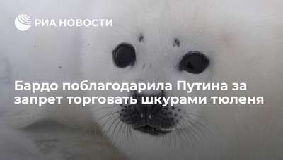 Бардо поблагодарила Путина за запрет торговать шкурами тюленя