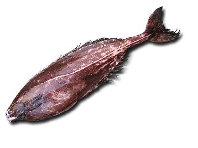 Рыба-тряпка