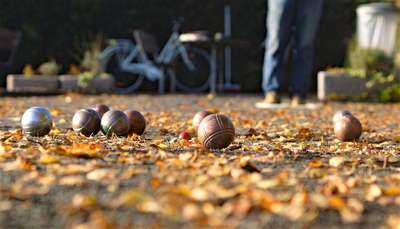 Во Франции лиса уличили в краже шаров для петанка