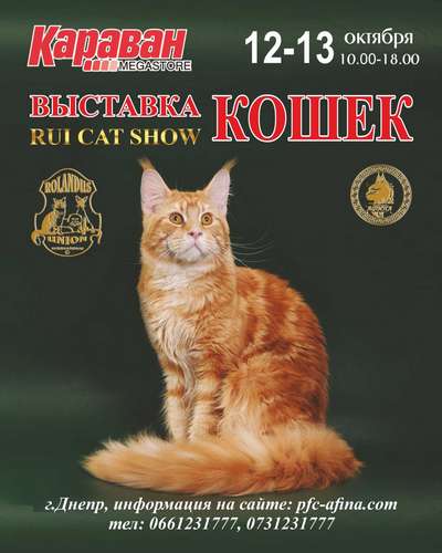 RUI Cat Show