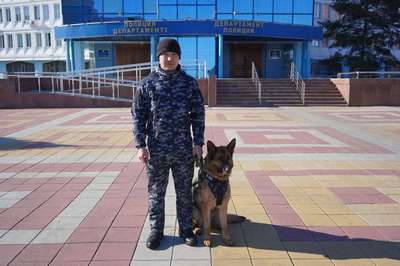 Пес помог казахстанской милиции найти куриного вора