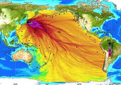 Рыбы донесли радиацию с "Фукусимы-1" до США раньше, чем вода или ветер - ученые