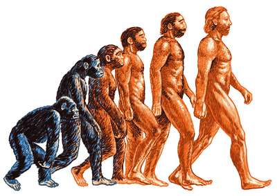 Яки эволюционировали вместе со своими хозяевами, считают ученые
