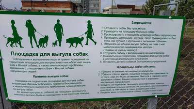 Собака в парке: правила поведения