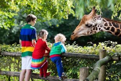 В первый день лета Киевский зоопарк будет пускать детей бесплатно