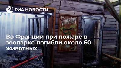 В Днепропетровске во время пожара в церковном зверинце погибли редкие животные
