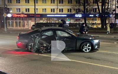Бобер устроил аварию на дороге в Германии