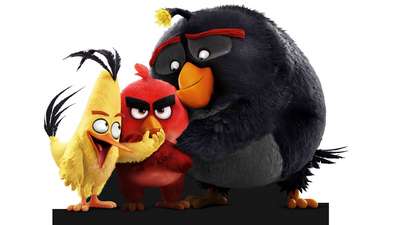 Операция "Angry Birds": в США освобождены 3000 пeтyxов