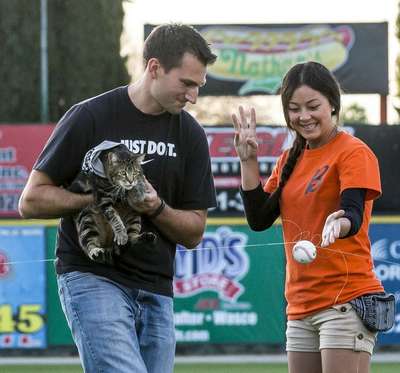 Спасшая ребенка от нападения пса кошка стала почетным гостем на бейсбольном матче