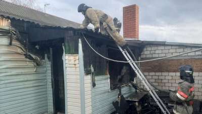 Техасские пожарные спасли из огня лягушку