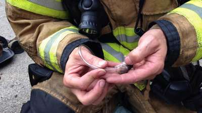 Вашингтонских хомяков спасли пожарные
