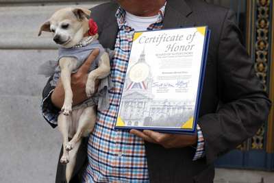 Мэром Сан-Франциско на один день стала собака