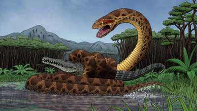 В Колумбии найдены останки гигантской доисторической змеи