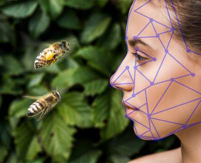 Пчелы способны распознавать человеческие лица