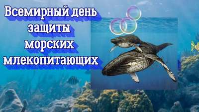 19 февраля - День защиты всех морских животных. Создание заповедных акваторий в Черном море.