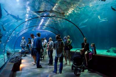 Суд запретил строить в Киевском зоопарке океанариум