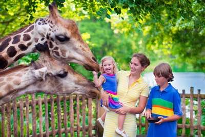 На праздники детки смогут пойти в киевский зоопарк бесплатно