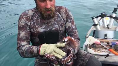 Дайвер из Новой Зеландии убил осьминога зубами