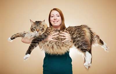 Самая длинная кошка Великобритании попала в Книгу рекордов Гиннесса