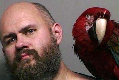 Американец позировал для снимка при задержании с попугаем на плече