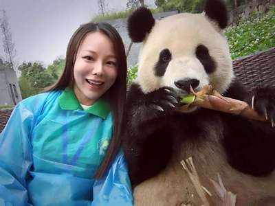 Позирующая для селфи панда прославила китаянку