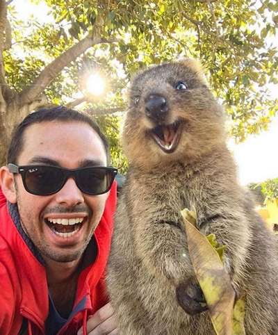 Австралиец сделал селфи с улыбающейся квоккой