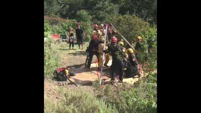 Американские пожарные спасли упавшую в девятиметровую яму собаку