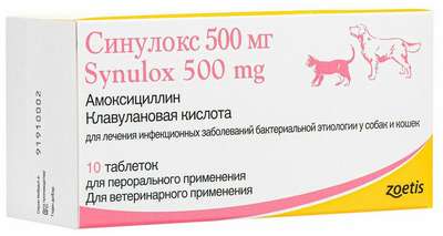 Применение Микровитама для лечения инфекционных заболеваний у кошек и собак