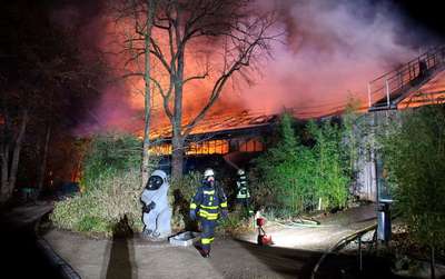 Новогодняя ночь закончилась масштабным пожаром в зоопарке Германии
