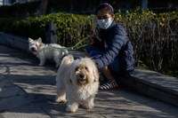 Госпотребслужба из-за коронавируса запретила ввоз в страну животных из КНР