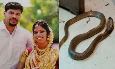 В Индии муж убил жену с помощью кобры