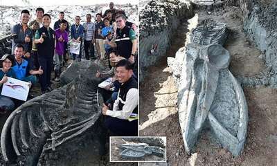 В Таиланде нашли скелет кита возрастом около 5000 лет