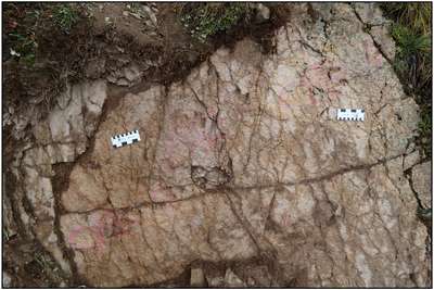 В Альпах нашли следы неизвестной рептилии возрастом 250 млн лет