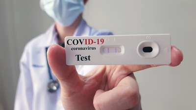В Южной Корее домашних животных с первыми симптомами COVID-19 будут тестировать на коронавирус