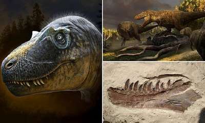 В Техасе найден новый вид динозавров