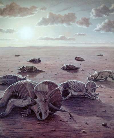 Рептилиям грозит скорое вымирание