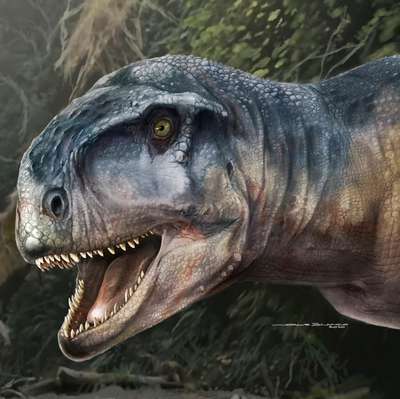 Ученые обнаружили новый вид динозавра