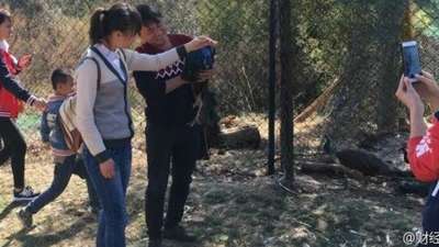 Посетители китайского зоопарка до cмepти шокировали двух павлинов