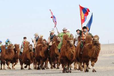 Крупнейшая в мире гонка верблюдов прошла в пустыне Гоби