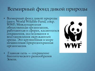 WWF организует "медвежьи" дежурства в армянских селах