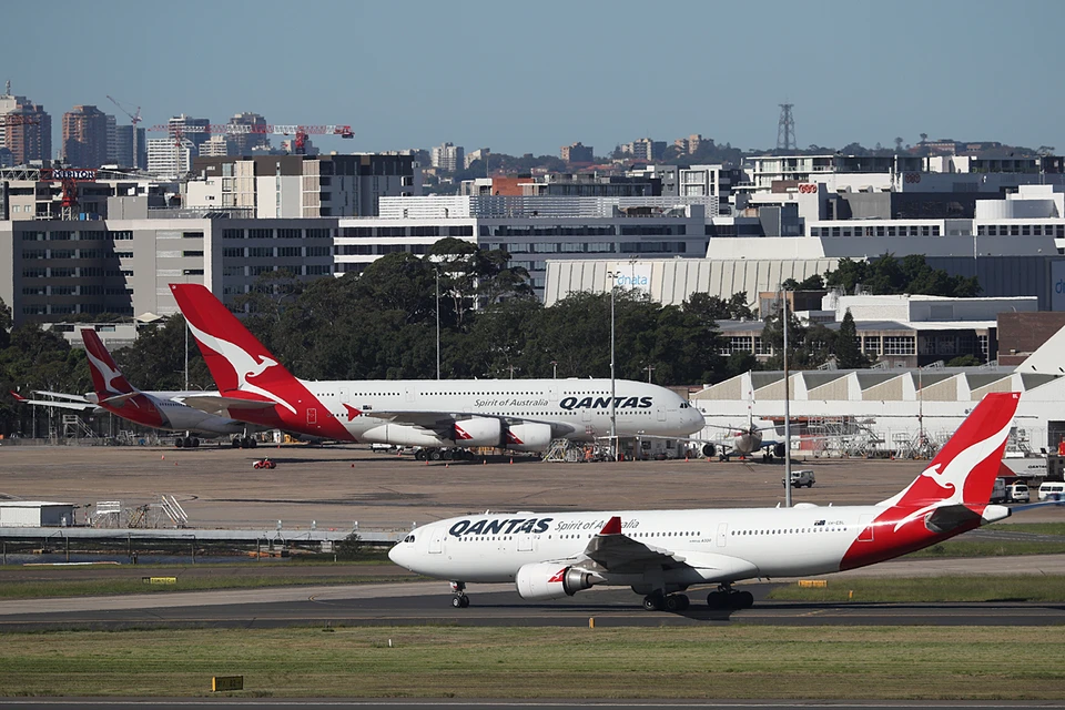 Австралийская авиакомпания задержала рейс из-за гепарда
