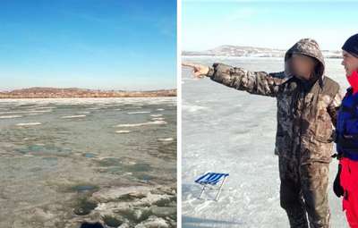 На озере Мичиган спасли дрейфовавшего на льдине койота
