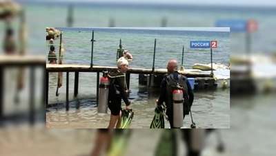 В Шарм-эль-Шейхе пьяный турист раздавил акулу